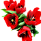 Цветы